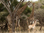 Ubizane Game Drive - South Africa Scuba Safari